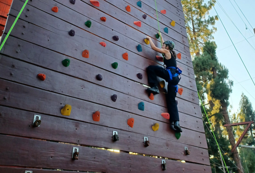 Visions student climbing a rock wall.