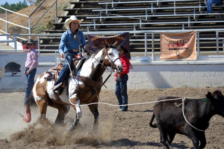 Jackie M. rides her horse in competition