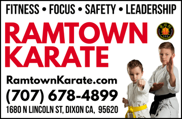 Ramtown Karate banner