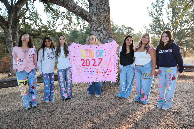 A group of students in custom decorated jeans and a blanket for senior year gather underneath a tree for a group photo.